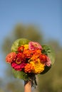 Closeup of woman\'s hand holding beautiful bouquet of summer garden flowers on the blue sky backdround. Bright bunch Royalty Free Stock Photo