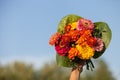 Closeup of woman\'s hand holding beautiful bouquet of summer garden flowers on the blue sky backdround. Bright bunch Royalty Free Stock Photo