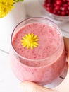 Closeup of woman`s hand holding creamy wild cranberry smoothie in a glass.