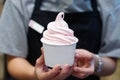 Closeup of woman `s hand holding takeaway cup with organic frozen yogurt ice cream