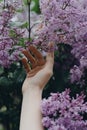 Woman`s hand touching lilac flowers.