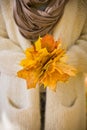 Closeup of woman`s hands holding beautiful bunch of bright autumn maple tree leaves in the park on a sunny day Royalty Free Stock Photo