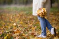 Closeup of woman`s hands holding beautiful bunch of bright autumn maple tree leaves in the park, on a sunny day Royalty Free Stock Photo