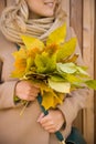 Closeup of woman`s hands holding beautiful bunch of yellow marple leaves. Young smiling woman walking in park