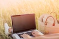 Closeup of woman`s hands keyboarding on laptop. empty screen Royalty Free Stock Photo