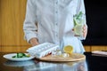 Closeup of a woman's hands preparing cold cocktail with lemon, mint leaves and ice Royalty Free Stock Photo