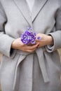 Closeup of woman`s hands with small bunch of beautiful blue snowdrops. Spring mood. Girl with flowers Royalty Free Stock Photo