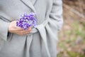 Closeup of woman`s hands with small bunch of beautiful blue snowdrops. Spring mood. Girl with flowers Royalty Free Stock Photo