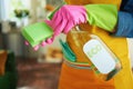 Modern woman with cleaning agent and sponge housecleaning Royalty Free Stock Photo