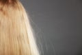 Closeup of woman with static blonde hair. Royalty Free Stock Photo