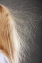 Closeup of woman with static blonde hair. Royalty Free Stock Photo