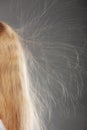 Closeup of woman with static blonde hair. Royalty Free Stock Photo