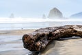 Closeup of a wood on the beach with the sea and rocks covered in the fog on the blurry background Royalty Free Stock Photo