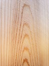 Closeup Wood Texture on Wooden Fence Panel