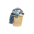 Closeup wood weave basket for used clothes with pile of clothes in house isolated on white background Royalty Free Stock Photo