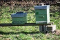 Wooden beehives in a meadow Royalty Free Stock Photo