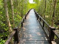 Closeup wooden bridge in the middle of mangrove forest, Petchaburi, Thailand Royalty Free Stock Photo