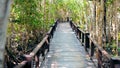 Closeup wooden bridge in the middle of mangrove forest, Petchaburi, Thailand Royalty Free Stock Photo