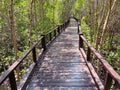 Closeup wooden bridge in the middle of mangrove forest, Petchaburi, Thailand Royalty Free Stock Photo