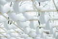 Closeup of wooden deck fence railing side, pole, post covered, in piled, pile of snow after heavy snowing snowstorm, storm at Royalty Free Stock Photo