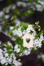 Closeup wooden house with hole in form of heart surrounded by white flowering branches of spring trees Royalty Free Stock Photo