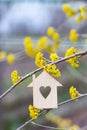 Closeup wooden house with hole in form of heart surrounded by yellow flowering branches of spring trees Royalty Free Stock Photo