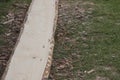 Closeup of wooden plank of pine without peel before abrading process