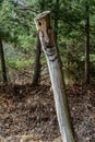 Closeup of wooden totem