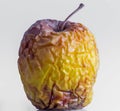 Closeup for wrinkled yellow apple Royalty Free Stock Photo