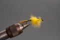 Closeup of a Yellow Caddis Fly