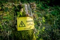 Closeup of a yellow [DANGER LIVE EQUIPMENT] sign on tree bark covered in the moss in a forest