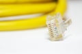 Yellow network cable with RJ 45 plug. Royalty Free Stock Photo