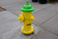 Closeup of a yellow fire hydrant in the street Royalty Free Stock Photo