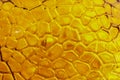 Closeup yellow glass texture . Royalty Free Stock Photo
