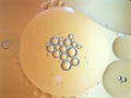 Closeup yellow- gold bubbles oil abstract background ,oil droplets and shiny Royalty Free Stock Photo