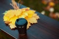 Closeup on yellow leaves and cup of coffee on bench