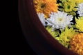 Closeup yellow marigold flower with white and yellow dandelions floating on the water with the edge of pottery water. Royalty Free Stock Photo