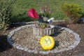 Closeup of a yellow pumpkin on the unkept garden bed Royalty Free Stock Photo