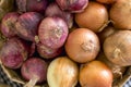 Closeup of yellow and red onions for sale at a small market stall Royalty Free Stock Photo