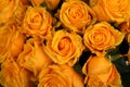 Closeup yellow rose in market Royalty Free Stock Photo