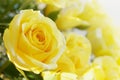 Closeup of Yellow Roses Bouquet Royalty Free Stock Photo