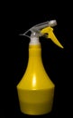 Closeup yellow spray bottle in full growth, isolated black background