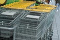 Yellow supermarket trolleys alignment