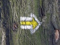 Directional mark on tree Royalty Free Stock Photo