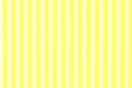 Closeup yellow and white color wall texture for background.Beautiful bright abstract striped pattern.