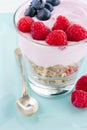 Closeup yoghurt, muesli and berries