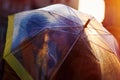 Closeup of young beautiful couple kissing under umbrella Royalty Free Stock Photo