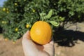 Man with an orange in his hand