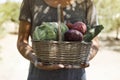 Young man with a basket full of vegetables Royalty Free Stock Photo