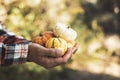 Man with some different pumpkins in his hands